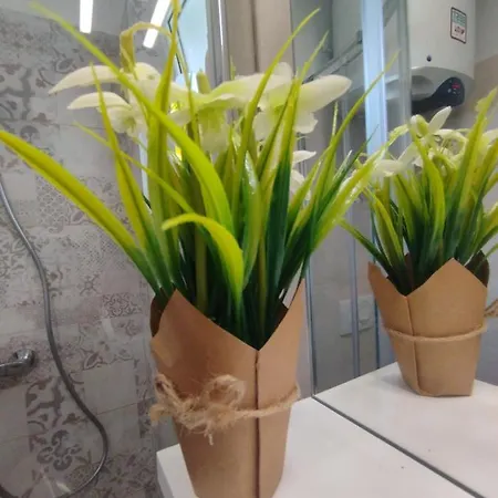 Apartman Jal Rovinj