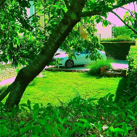 Apartman Jal