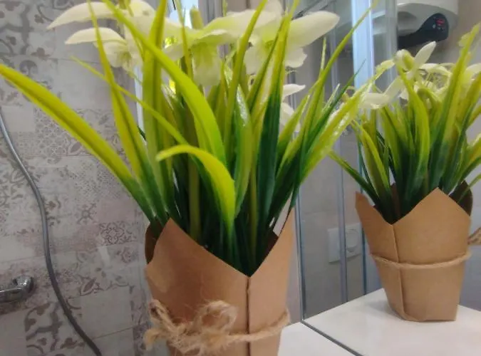 דירה Jal רוביני